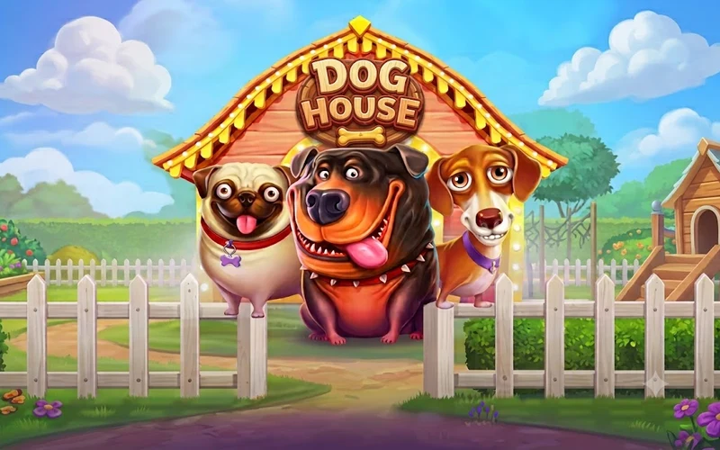 The Dog House